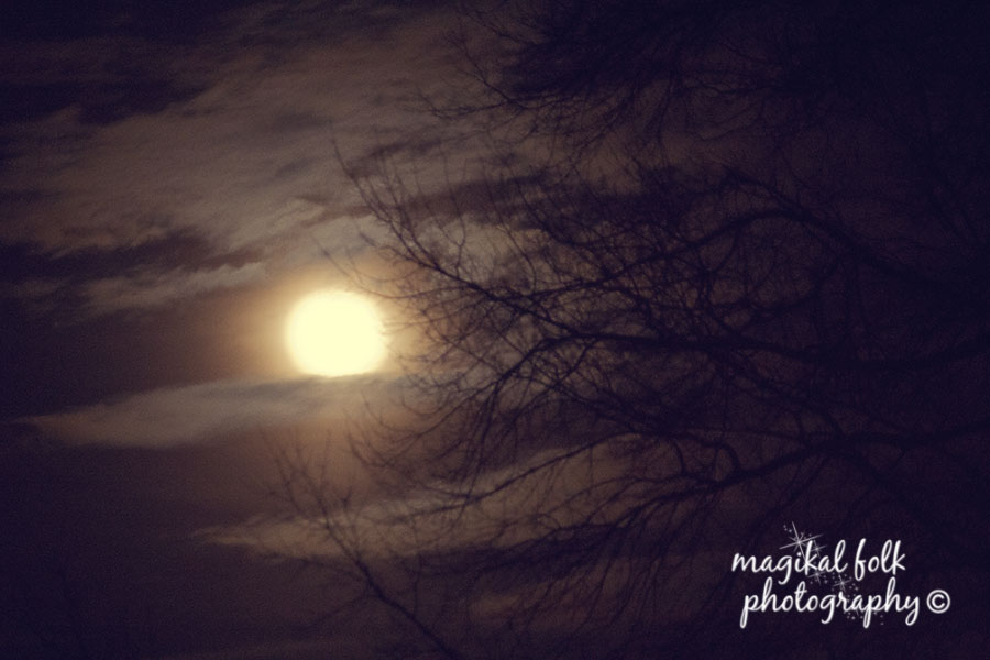 moon_and_bare_trees