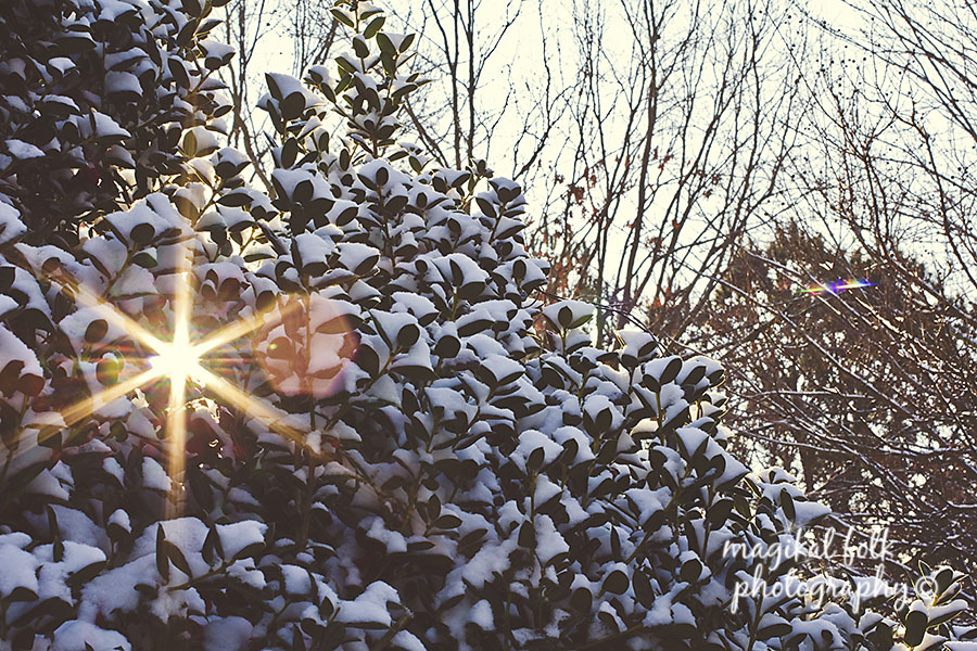 sun_flare_and_snow
