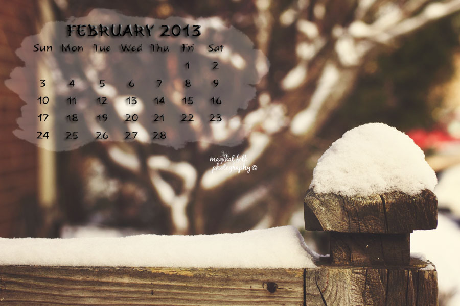 FENCE POST FEB 2013 900 X 600