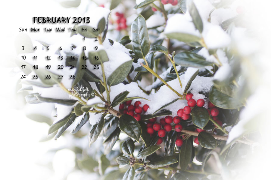 SNOW BERRIES FEB 2013 900 X 600