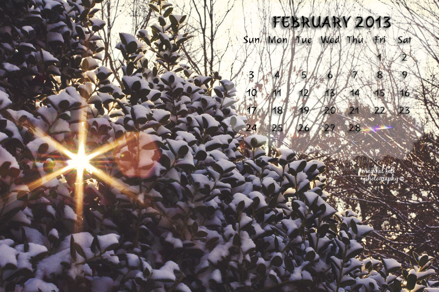 STARBURST FEB 2013 900 X 600