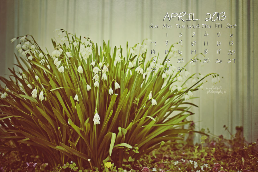 Flower April 2013 900 x 600