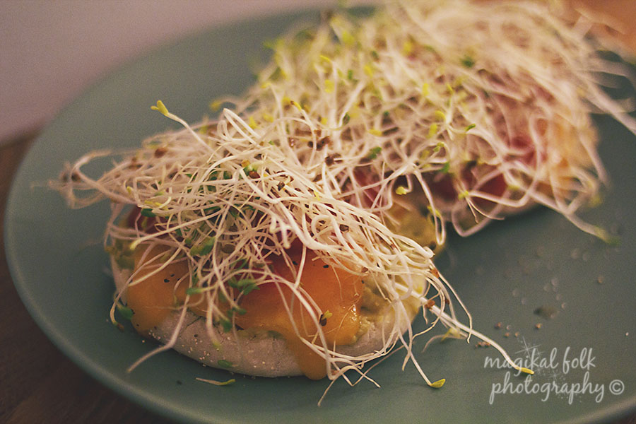 avocado_alfalfa_sprouts_cheese_sandwich