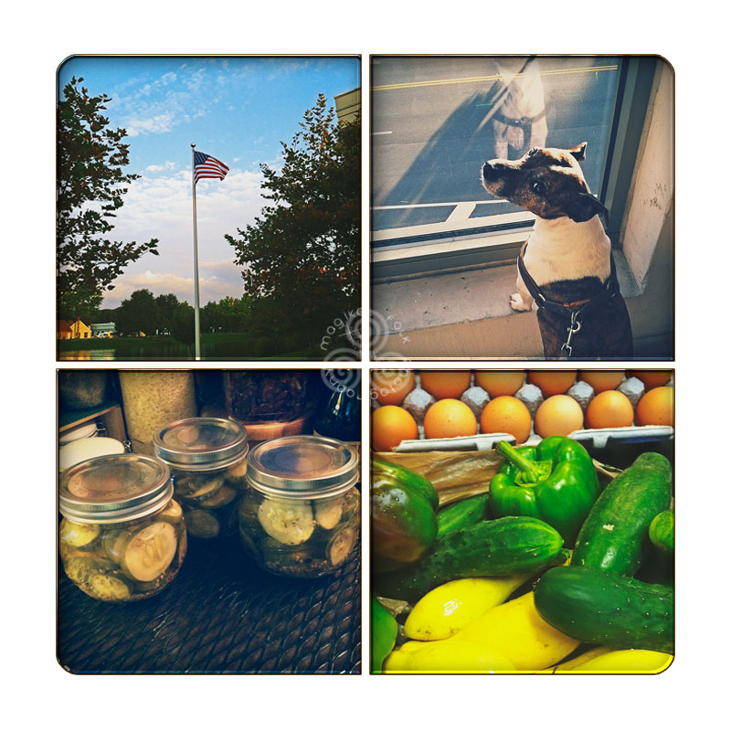 2 collage 90813