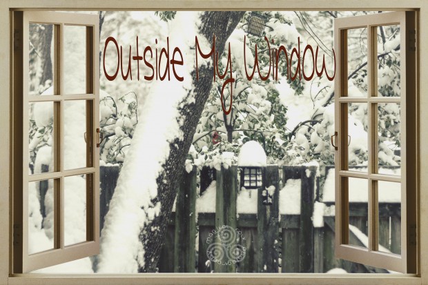 outside my window winter 2014