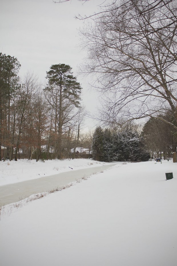 snow day 1