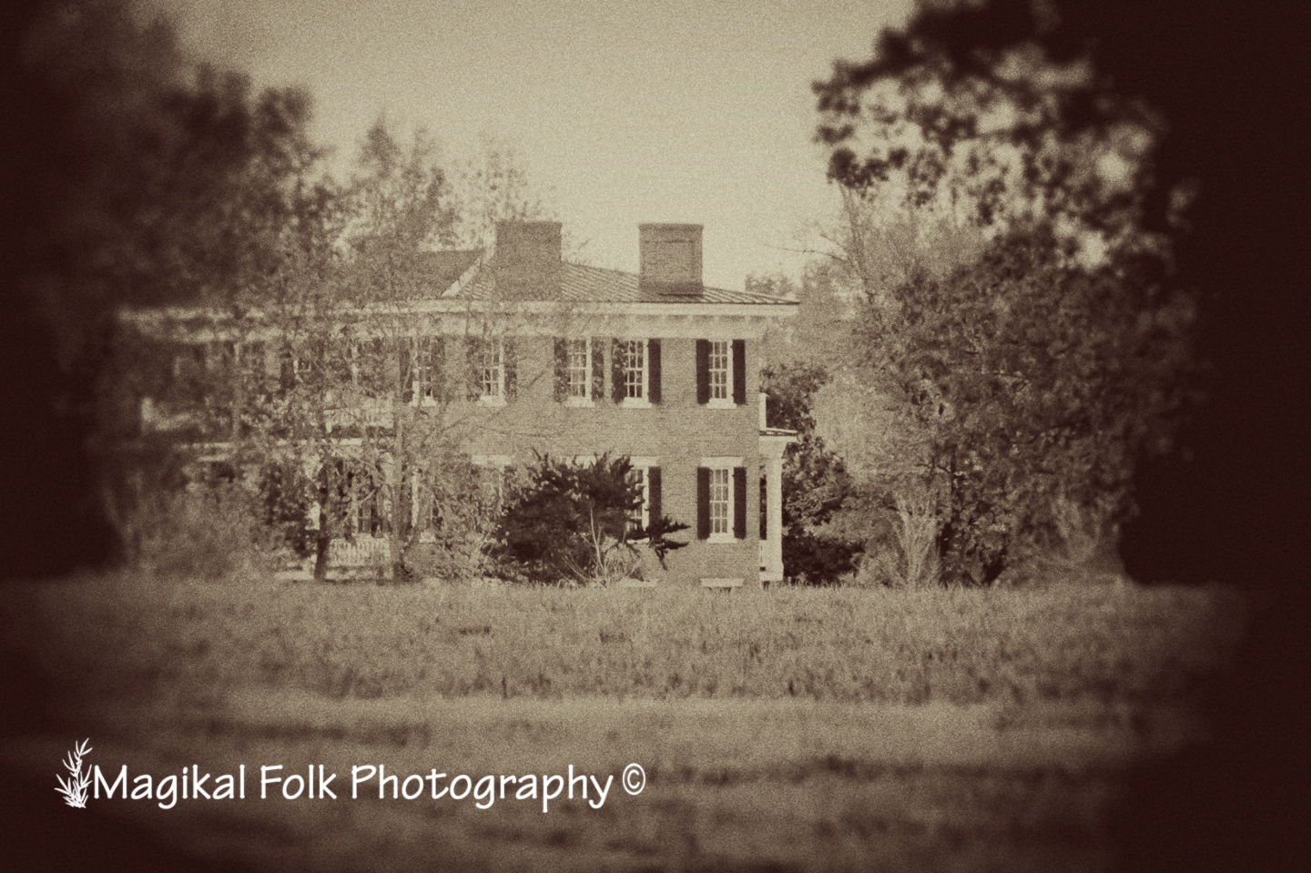 Lee Hall Mansion – Whispers From The Woods